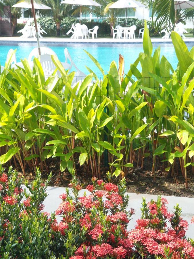 Palm Village Acqua - Apartamento Premium - Em Frente A Piscina - Porto De Galinhas Exterior photo